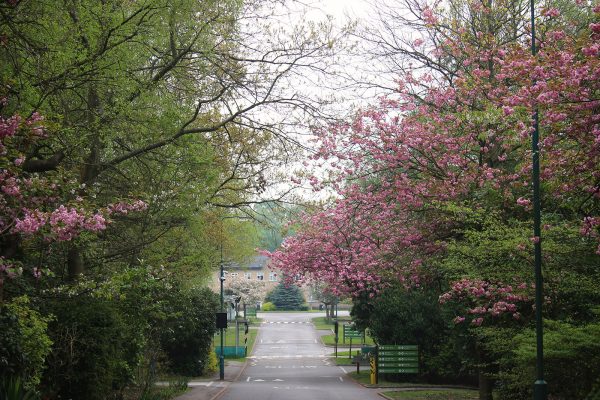 Portland campus