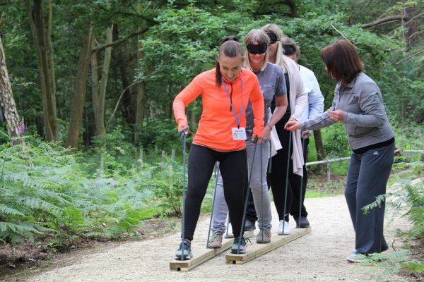 Team Building Activity at the Woodland Adventure Zone