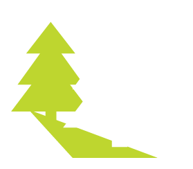 Woodland Trails ICON