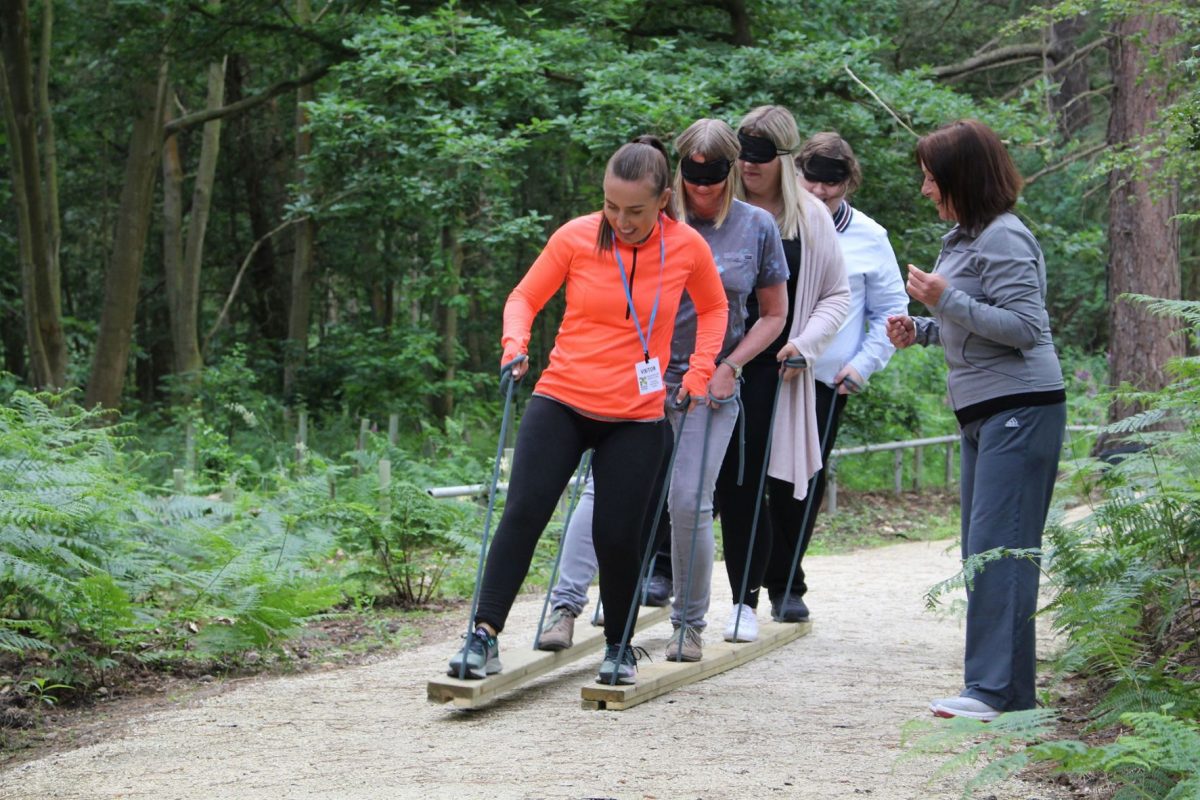 Woodland adventure zone team days