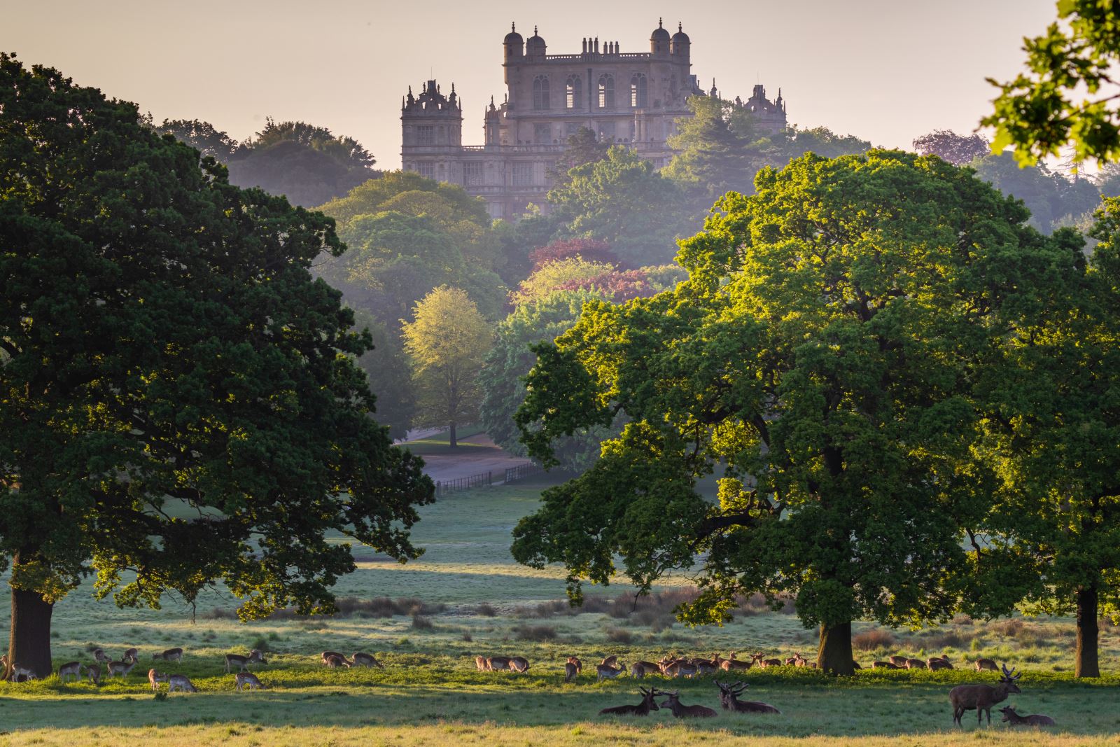 portland-wollaton-park-tour-portland-charity