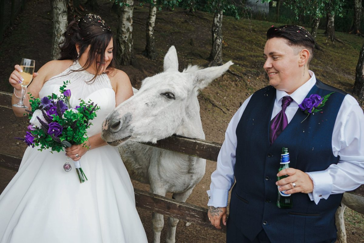 A bride and bride on their wedding day with a white donkey in between them.