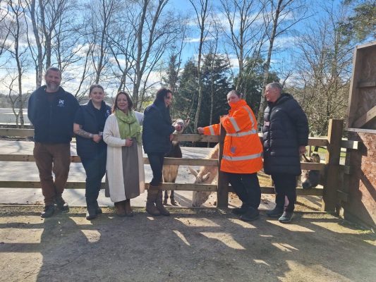 A group of six men and women standing with two donkeys